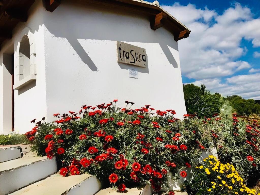 Trasicca B&B Brunella Exterior photo